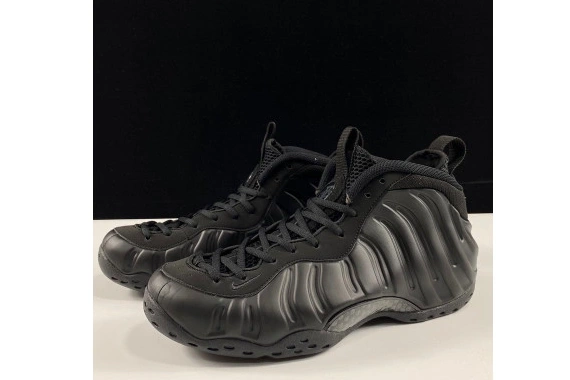 Nike 314996-001 Air Foamposite Anthracite One 1028